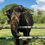 renegonzalezzy 491463699 18270944587277899 3049047664603982041 n