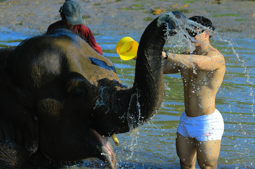 renegonzalezzy 587747342 18298828993277899 61040761265371215 n.jpg