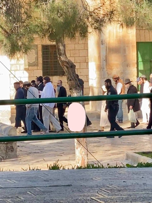 اقتحم 2265 مستوطناً المسجد الأقصى المبارك خلال الأسبوع الماضي، وذلك تحت حماية شرطة الاحتلال....