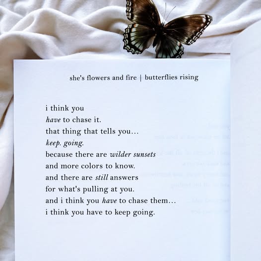 [Image: fVasyHN.jpg]