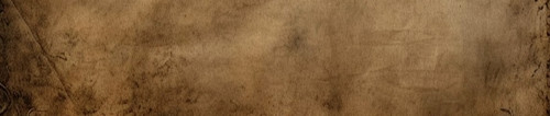 1000065206