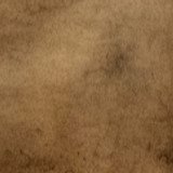 1000065206