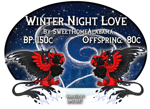 winter night love