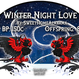 winter night love