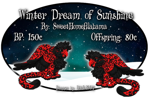 winter dream of sunshine