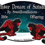 winter dream of sunshine