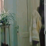 anigif.gif