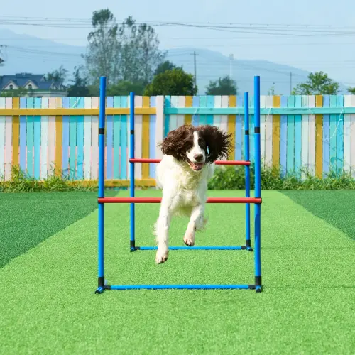 us TYKMJKCTJSJKF0J3NV0 original img v4 dog agility equipment m100 1.12.webp