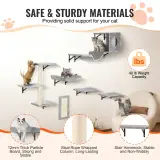 us ZYSBGSMPJ6JTKY3NYV0 original img v3 cat wall shelves f2