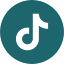 tiktok.png