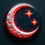 Türk Bayrağı V271220250914 N 40