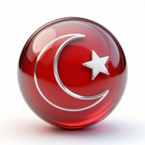 Türk Bayrağı V271220250914 N 46