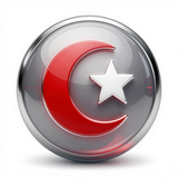 Türk Bayrağı V271220250914 N 49