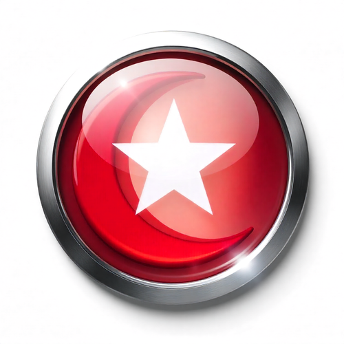 Türk Bayrağı V271220250914 N 45.png