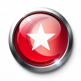 Türk Bayrağı V271220250914 N 45