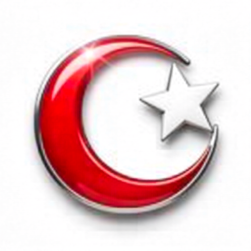 Türk Bayrağı V271220250914 N 47.png