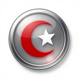 Türk Bayrağı V271220250914 N 54