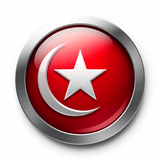 Türk Bayrağı V271220250914 N 55