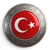 Türk Bayrağı V271220250917 N 5