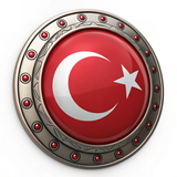 Türk Bayrağı V271220250917 N 16