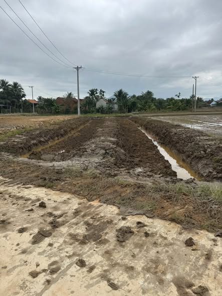 604511342 1312436730646101 5640701176196861298 n.jpg