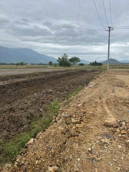 606297970 1312436727312768 2058449288300437344 n.jpg