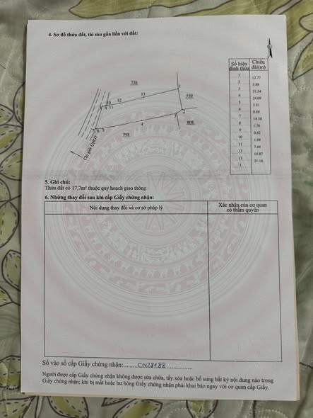 605430355 1312436790646095 2216870734064502497 n.jpg