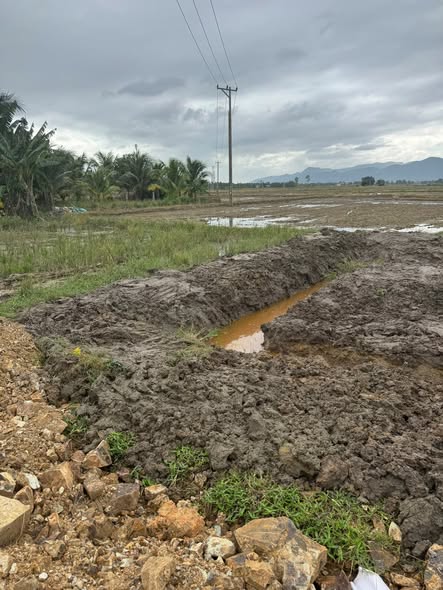 603907458 1312436710646103 4977169351695883560 n.jpg