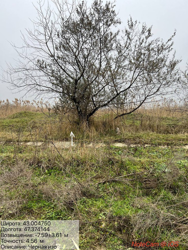 photo 5 2025 12 27 14 44 33.jpg