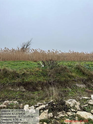 photo 9 2025 12 27 14 44 33.jpg