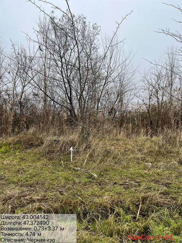 photo 4 2025 12 27 14 44 33.jpg