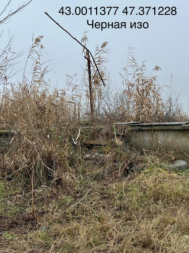 photo 3 2025 12 27 14 44 33.jpg