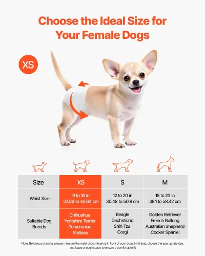 us CWNBZNKMG144W0DY9001V0 original img v1 pet diapers f1.webp