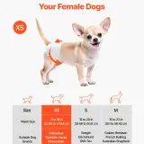 us CWNBZNKMG144W0DY9001V0 original img v1 pet diapers f1