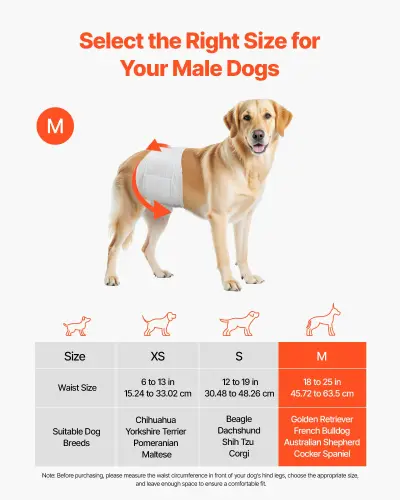 us CWNBFDGG96PMPUZWY001V0 original img v2 pet diapers f1.webp