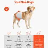 us CWNBFDGG96PMPUZWY001V0 original img v2 pet diapers f1