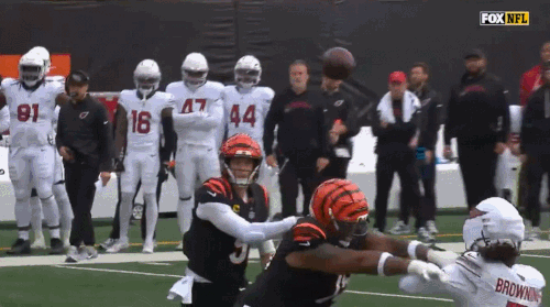 GIF 12 28 2025 12 13 17 PM.gif