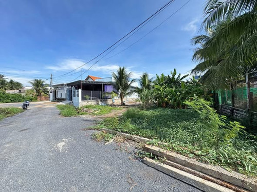 606060243 887359567388843 1718713072130826593 n.jpg