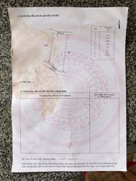 607427347 887359867388813 2489430178287450442 n.jpg