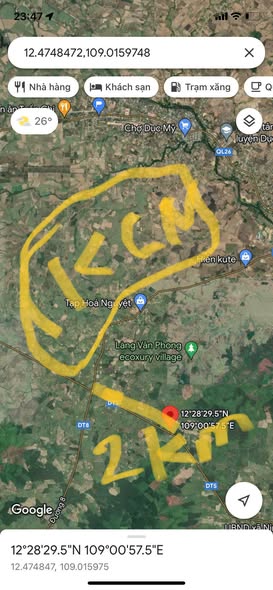 601834559 3291304954376121 305903183690262649 n.jpg