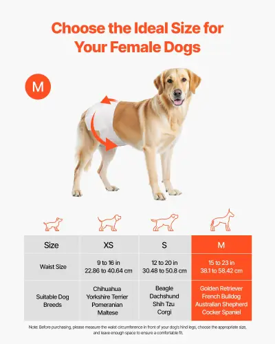 us CWNBZNKMG96PE32U1001V0 original img v1 pet diapers f1.webp