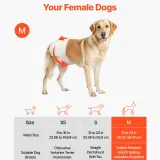 us CWNBZNKMG96PE32U1001V0 original img v1 pet diapers f1