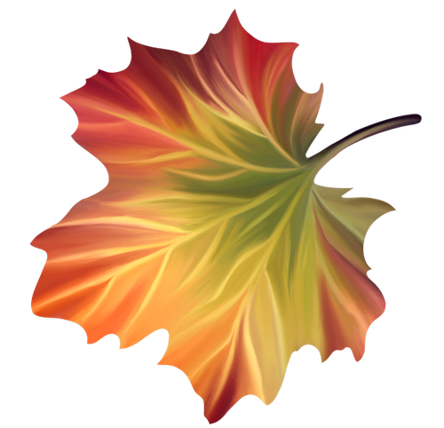 DbR ClassicAutumn 04.png