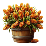 DbR ClassicAutumn 33