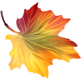 DbR ClassicAutumn 66