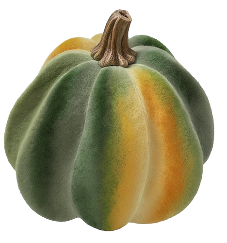 DbR ClassicAutumn 74.png