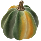 DbR ClassicAutumn 74