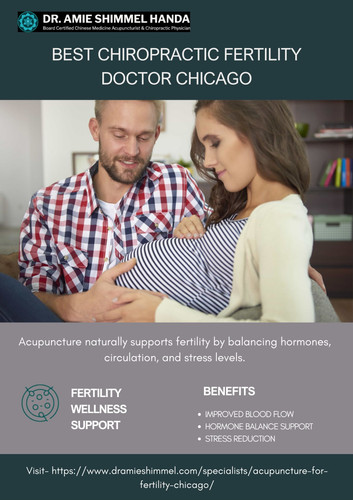 Best Chiropractic Fertility Doctor Chicago.jpg