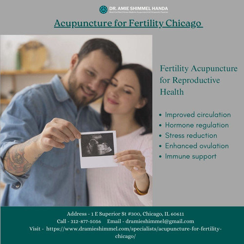 Acupuncture for Fertility Chicago.jpg