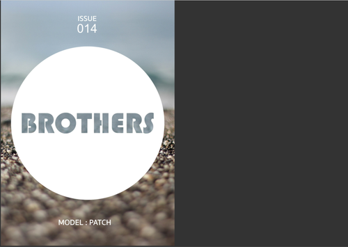 Brothers 14 (139).png